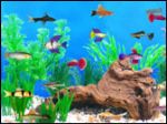 《养鱼大亨》超强模拟水族馆试玩