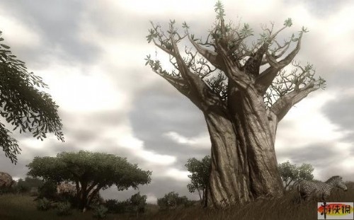 《孤岛惊魂2》公布最新五张游戏截图